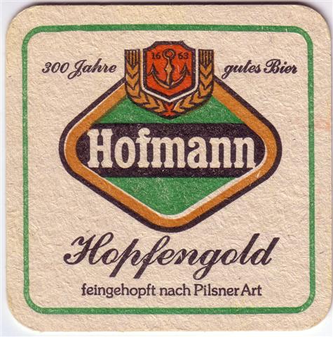 gutenstetten nea-by hofmann quad 1b (185-grner rahmen)
